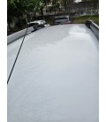 RENAULT DUSTER PRIVILEGE