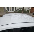 RENAULT LOGAN PRIVILEGE