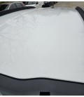FIAT PULSE DRIVE MT